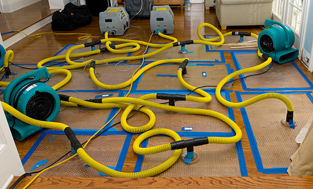 Professional Structural Drying And Dehumidification technician working in Bahama, NC